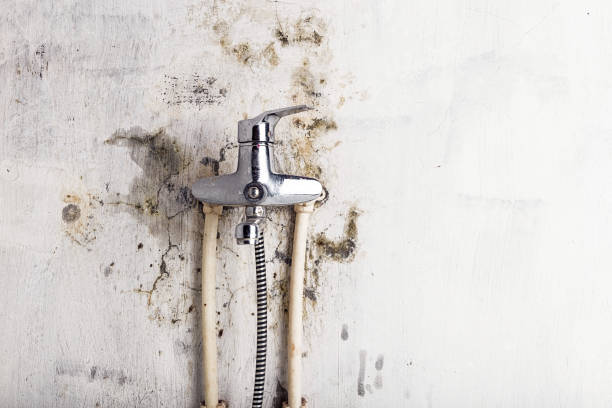 Best Mold Remediation  in North Spearfish, SD