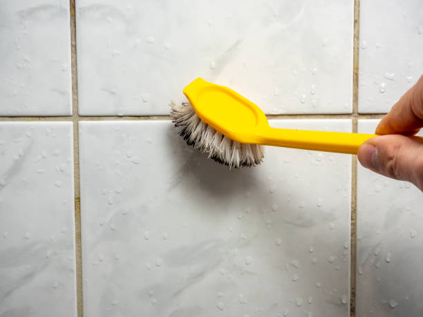 Best Mold Damage Repair  in North Spearfish, SD